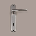 Steel back-plate + Carmen door-handle