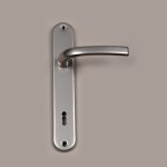Steel back-plate + Silvania door-handle
